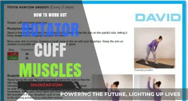 Effective Exercises to Strengthen and Tone Your Rotator Cuff Muscles