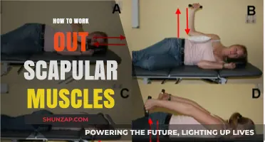 Effective Scapular Muscle Workouts: Strengthen Your Shoulder Blades with These Tips