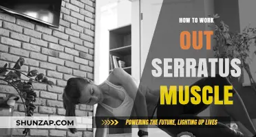 Effective Serratus Muscle Workouts: Techniques to Strengthen and Tone