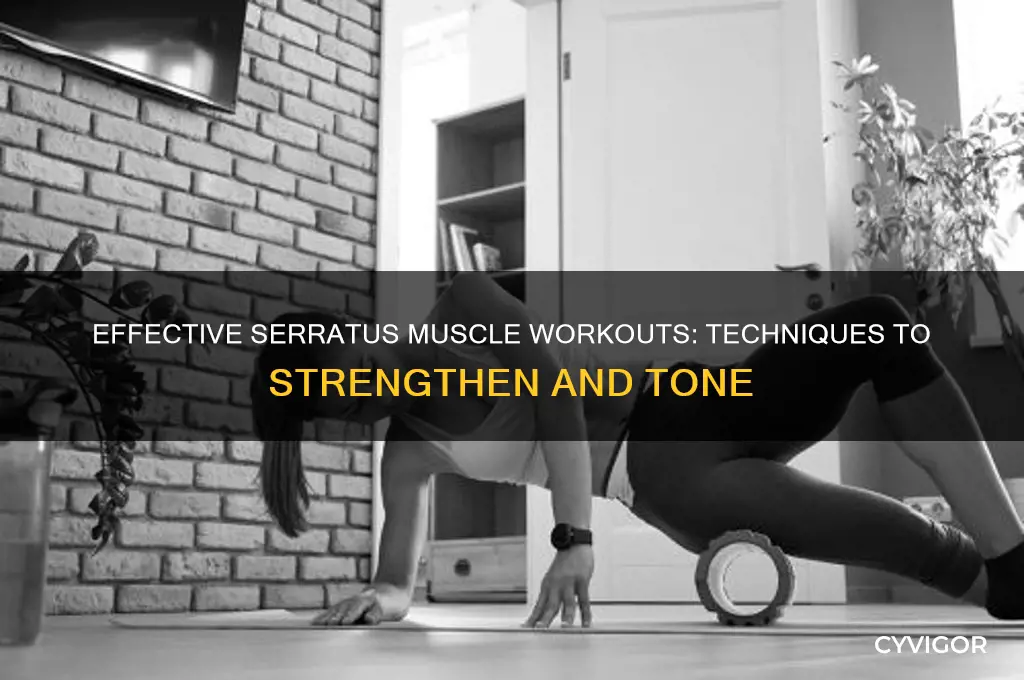 how to work out serratus muscle