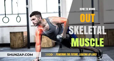Effective Strategies to Strengthen and Tone Your Skeletal Muscles