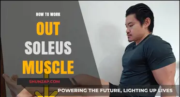 Effective Soleus Muscle Workouts: Strengthen and Tone Your Calves Today