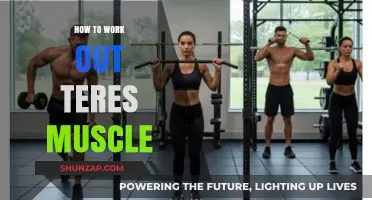 Effective Teres Muscle Workouts: Strengthen and Tone Your Upper Back
