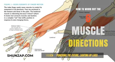 Mastering Muscle Movement: Understanding and Training the 6 Directions