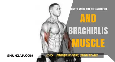 Effective Exercises to Strengthen Anconeus and Brachialis Muscles