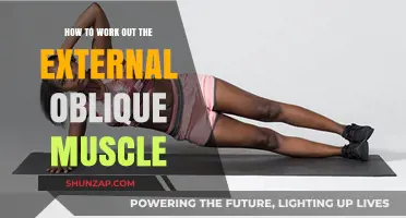 Effective Exercises to Strengthen and Tone Your External Oblique Muscles