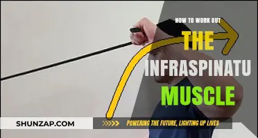 Effective Exercises to Strengthen Your Infraspinatus Muscle Easily