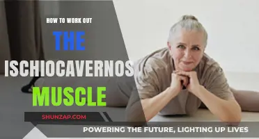 Effective Techniques to Strengthen Your Ischiocavernosus Muscle Safely