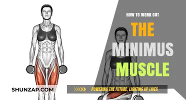 Effective Exercises to Strengthen and Tone Your Minimus Muscle