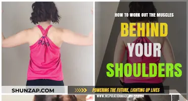 Strengthen Your Rear Deltoids: Effective Exercises for Shoulder Muscles