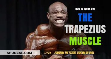Effective Trapezius Workouts: Strengthen and Tone Your Upper Back Muscles