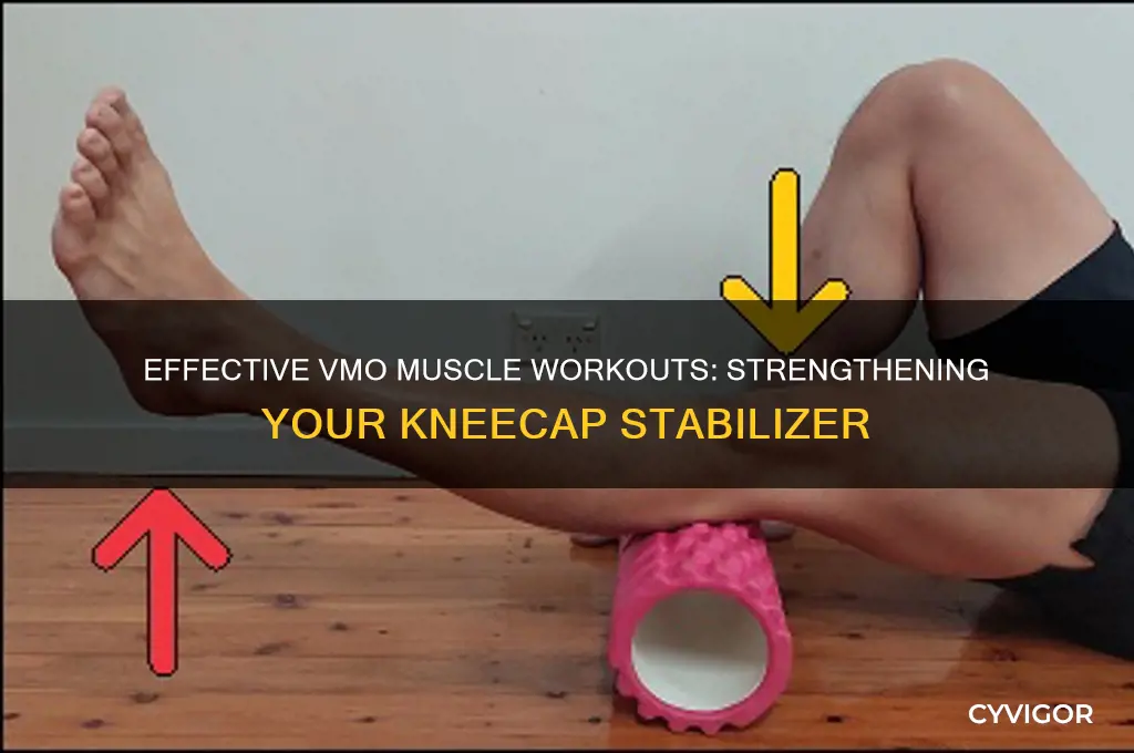 how to work out the vmo muscle