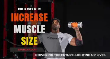 Effective Muscle-Building Workouts: Strategies to Maximize Size and Strength