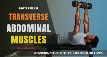 Effective Exercises to Strengthen Your Transverse Abdominal Muscles