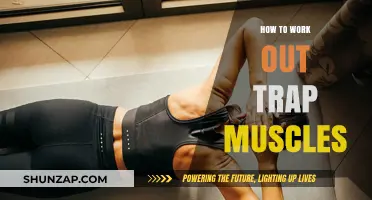 Effective Trap Muscle Workouts: Strengthen and Sculpt Your Upper Back