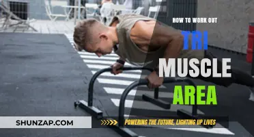 Effective Tri Muscle Workouts: Targeting and Strengthening Your Triceps