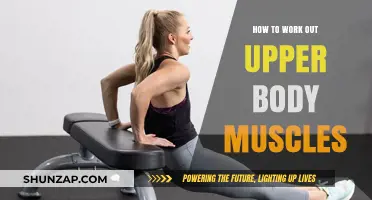 Effective Upper Body Workouts: Sculpt and Strengthen Your Muscles Fast