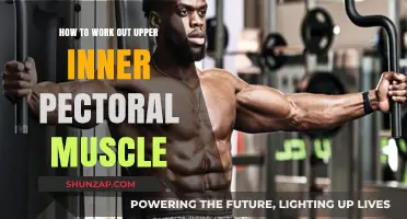 Effective Exercises to Target and Strengthen Your Upper Inner Pectoral Muscles