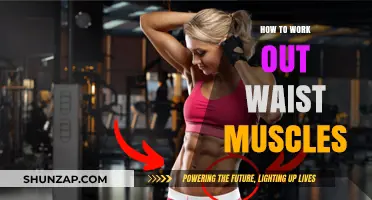 Effective Waist Muscle Workouts: Tone and Strengthen Your Core Fast
