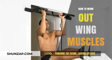 Effective Wing Muscle Workouts: Strengthen and Sculpt Your Back and Shoulders