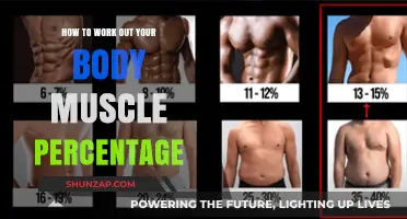 Calculate Your Body Muscle Percentage: A Step-by-Step Guide