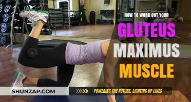 Effective Gluteus Maximus Workouts: Strengthen and Tone Your Rear End