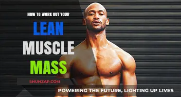 Calculate Lean Muscle Mass: Accurate Methods for Optimal Fitness Results