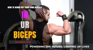 Effective Biceps Long Head Workouts for Stronger, Defined Arms
