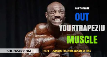 Effective Trapezius Workouts: Strengthen and Tone Your Upper Back Muscles