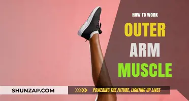 Effective Exercises to Strengthen and Tone Your Outer Arm Muscles