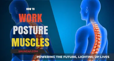 Mastering Work Posture: Strengthen Muscles for Comfort and Productivity