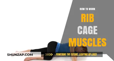 Strengthen Your Rib Cage: Effective Exercises for Core Stability
