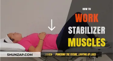 Strengthen Your Core: Mastering Stabilizer Muscles for Better Balance
