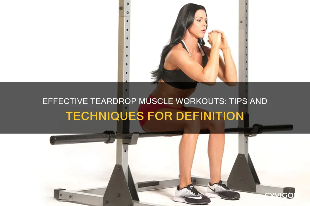how to work teardrop muscle