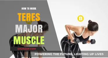 Effective Exercises to Strengthen and Tone Your Teres Major Muscle