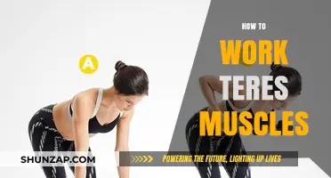 Effective Techniques to Strengthen and Tone Your Teres Muscles