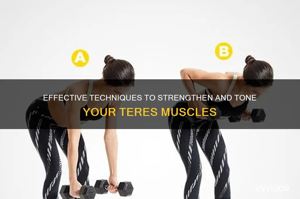 how to work teres muscles