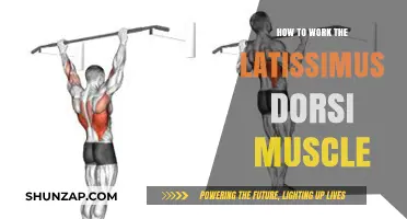Effective Latissimus Dorsi Workouts: Strengthen Your Back Muscles Today