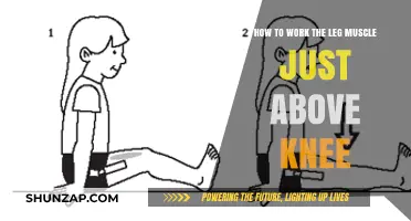 Strengthen Your Quadriceps: Effective Exercises for Upper Leg Muscles