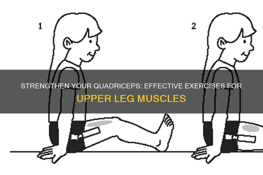 how to work the leg muscle just above knee