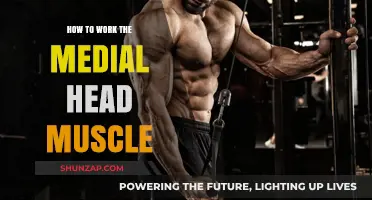 Effective Techniques to Target and Strengthen Your Medial Head Muscle