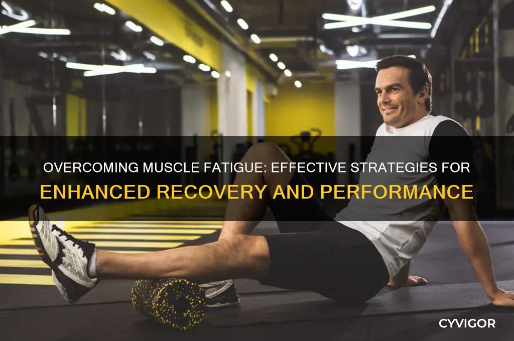 how to work the muscle fatigue