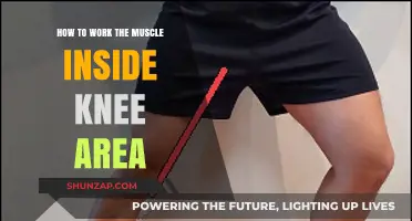 Strengthening Your Inner Knee Muscles: Effective Exercises and Techniques