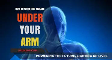 Tone and Strengthen Your Underarm Muscles: A Comprehensive Guide
