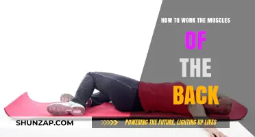 Strengthen Your Back: Effective Exercises to Target Every Muscle Group