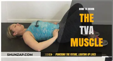 Mastering TVA Activation: Techniques to Strengthen Your Core Muscle