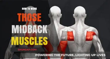 Effective Midback Muscle Workouts: Strengthen and Tone Your Back