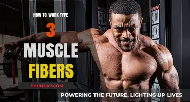 Unlocking Explosive Power: Training Strategies for Type 3 Muscle Fibers