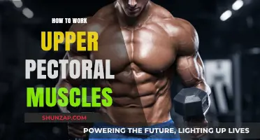 Effective Upper Pectoral Workouts: Targeting and Strengthening Your Chest Muscles