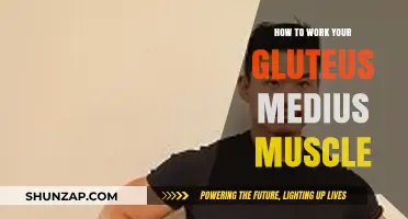 Activate Your Gluteus Medius: Effective Exercises for Stronger Hips